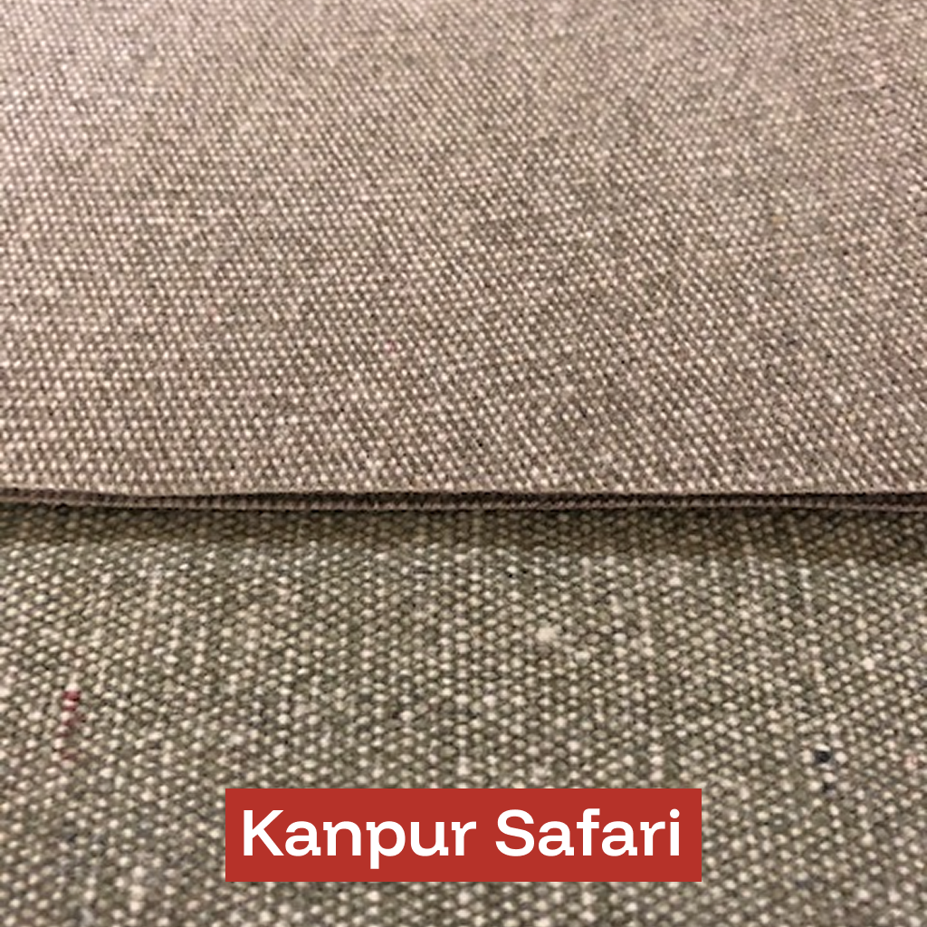 Kanpur Safari